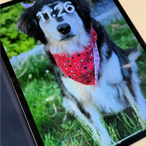 IPad Pro 12.9 - 3rd Gen. LIKE NEW! 256 GB with cellular with Apple folio case - Picture 4 of 8